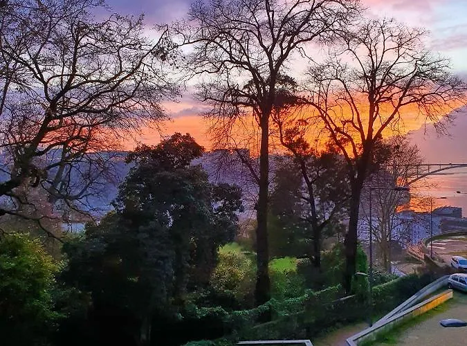 Bba Palacio I - Douro View, Gym & Free Parking * 波尔图